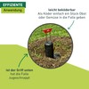 Windhager 05315 Vole Trap – 6.5 x 22 x 25