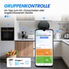 Oblinple WiFi Socket 16A Alexa Socket Smart Home WiFi Sockets