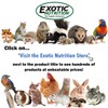 Exotic Nutrition Dozen Delights - Oat Donut Treats for Rabbits,