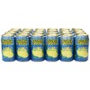 CASE OF 24 - ALOHA MAID 100% ALL NATURAL JUICE