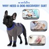 MORVIGIVE Dog Recovery Sleeves for Front Legs - Prevent Licking,