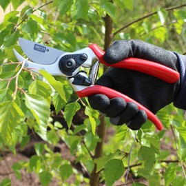 Siena Garden 691524 Premium Bypass shears 2-SF