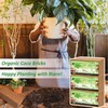 Riare 6pcs Organic Coco Coir Bricks Soil Blocks- 100% Natural
