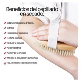 Cepillo Corporal Exfolia Cuerpo Piel Muerta Circulacion Full                                                                                          