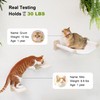 FUKUMARU Cat Wall Hammock with Two Steps Set, Modern Cat