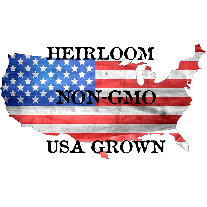 500 Iceberg Lettuce Seeds for planting - Heirloom Non-GMO USA