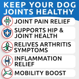 BARK&SPARK Liquid Collagen + Glucosamine for Dogs - 16 Fl Oz Easy to Serve Joint Supplement - Advanced Formula with Chondroitin, MSM, Hip & Joint + Skin & Coat Care - Made in USA