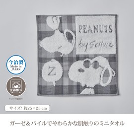 Nishikawa PN4606TW Snoopy Mini Towel, 9.8 x 9.8 inches (25 x 25 cm), Washable, 100% Cotton, Gauze & Pile Fabric, Checked Design, Made in Japan, Made in Imabari, Gray XT44706600