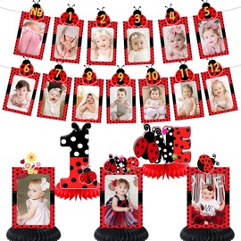 Ladybug 1st Birthday Party Decorations, Lady Beetle Bug 12 Monthly Milestone Photo Banner Baby First Year Down Theme Photo Table Centerpiece for Baby Ladybug First Theme Party