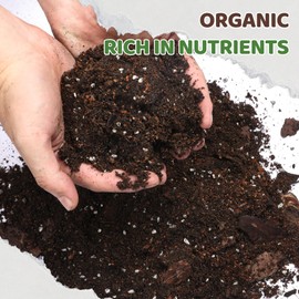 Doter Premium Snake Plant Soil Mix 4qt, Indoor Plants Potting Mix for All Potted Snake Plants, Promote Healthy Growth and Easy Care