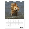 Glücklicher Golden Retriever (Tischkalender 2026 DIN A5 hoch), CALVENDO Monatskalender: