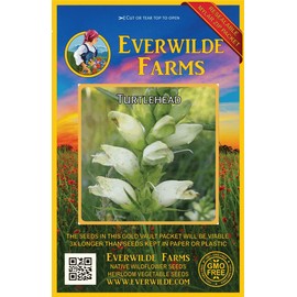 Everwilde Farms - 500 Turtlehead Native Wildflower Seeds - Gold Vault Jumbo Seed Packet