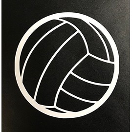 C60620 (White) Volleyball 2pack 3.5in