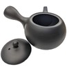 Kyusu Japanese Teapot with Side Handle for Green Tea, Ceramic