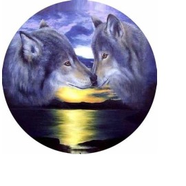 Fashion Jewelry WOLF WOLVES Large Pendant Charm 925 Sterling Silver 22" necklace  Men Women Gift