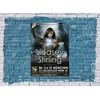 Lindsey Stirling Crystallize, Munich 2013 Concert Poster / Premium Poster