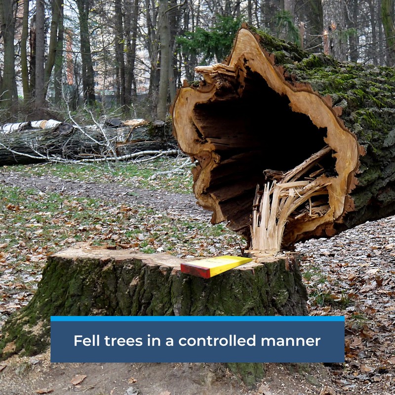 RNA Hammerhead Felling Wedge Kit - 4-Piece Combo Pack 7.5"