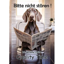 Blechschild Humor Aluminium 20x30cm - auf der Toilette mit Zeitung Weimaraner Hund 123