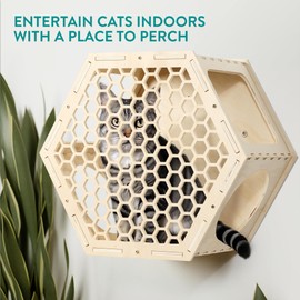 Navaris Cat Shelves for Wall (4 Pieces) - Set with Hexagon Shelf and 3 Steps - Wall Mounted Climbing Perch for Cats - Wall Mount Furniture for Walls
