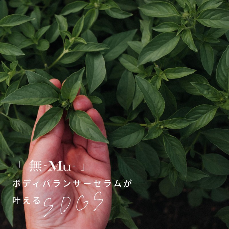 None -Mu- Body Balancer Serum