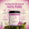 Commons Hongos Adaptógenos - Astragalus - Extracto en Polvo 100