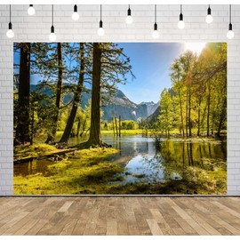 Loccor 5x3ft Fabric Forest Lake Backdrop Summer Tranquillity Green Forest River National Park Lake Scenic Background Outdoor Hiking Travel Party Decorations Photo Studio Props