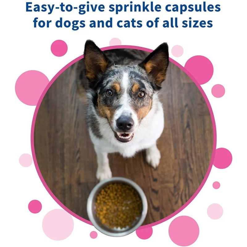 Nutramax Proviable Health Supplement For Cats And Dogs