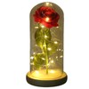 Rose in Glass Dome Lucky Beautiful Symbolism Romantic Enchanted Rose