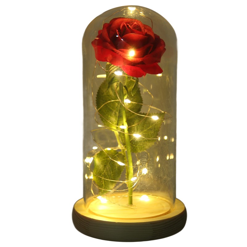 Rose in Glass Dome Lucky Beautiful Symbolism Romantic Enchanted Rose