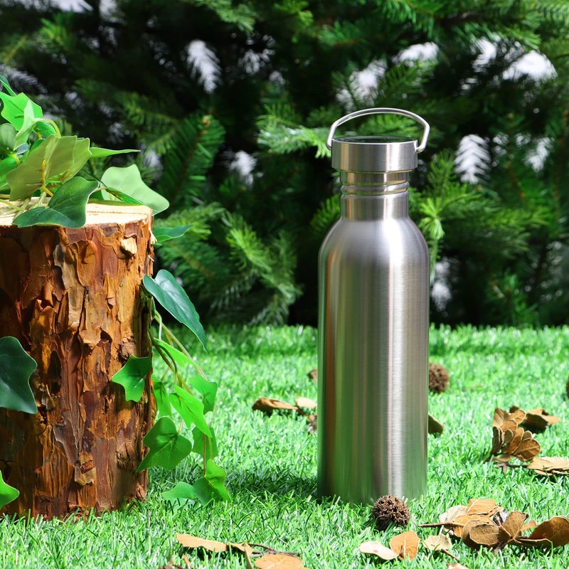 Robin Goods® Stainless Steel Drinking Bottle with Handle – High-Quality