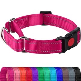 Joytale Martingale Collar for Dogs, Reflective Heavy Duty for Safety, Quick Release Buckle, Adjustable Nylon Collars for Medium Dogs Walking Training, Hotpink,M