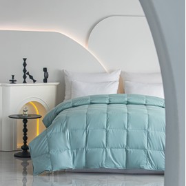 Lightweight Goose Down Comforter Blanket Duvet Insert for Summer/Warm Weather, 750 Fill Power Ultra Soft Fabric, Lake Blue California/Oversized King