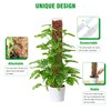 Bonviee 2 Pcs 24 Inch + 2 Pcs 36 Tall