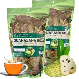 Whole Sundried Premium Graviola Soursop Leaves 4oz (240+ Leaves Per Bag) PACK OF 2 |Hoja De Guanabana | Wildcrafted | Graviola Loose Leaf Herbal Tea | From Mexico | Premium Quality.