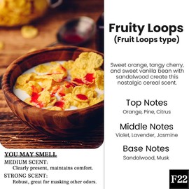 2 Pack Pick 80+Scents Car Air Freshener Hanging Car Diffuser Made in USA Last for 120 Days:_F22-Fruit Loops 