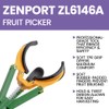 Zenport ZL6146A Long Reach Telescopic Fruit Harvester and Picker, 6-Feet