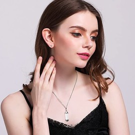 Juego de 2 collares de frasco de sangre, collar de urna de cremación para cenizas, collar de tubo, urna de cremación, joyería para soporte de cenizas, recuerdo conmemorativo, Acero inoxidable, Sin piedra preciosa