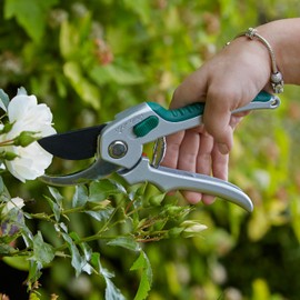 Carters - Bypass Secateurs - Garden Pruning Tool - Ideal for Precise Cutting - Essential for Gardening and Trimming