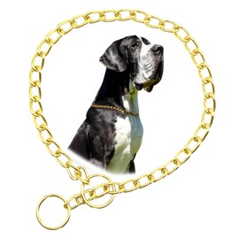 Gold Choke Chain for Dogs, Metal Slip Link Training Heavy Duty Dog Choker Collar Puppy Collars for XXS XS Small Medium Large Big XL Breed Dogs, M