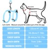 PUPTECK Adjustable Cat Harness and Leash Set Escape Proof Kitten