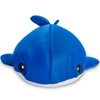 Posh Creations Whale Shark Pool Noodle and Float with EPS