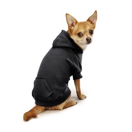 Casual Canine Cotton Basic Dog Hoodie