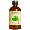 OliveNation Pure Spearmint Extract 4 oz.