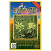 Everwilde Farms - 150 Wood Betony Native Wildflower Seeds -