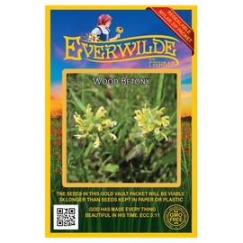 Everwilde Farms - 150 Wood Betony Native Wildflower Seeds - Gold Vault Seed Packet