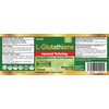 Herba Liposomal Glutathione Supplement - 600mg Per Day | 60