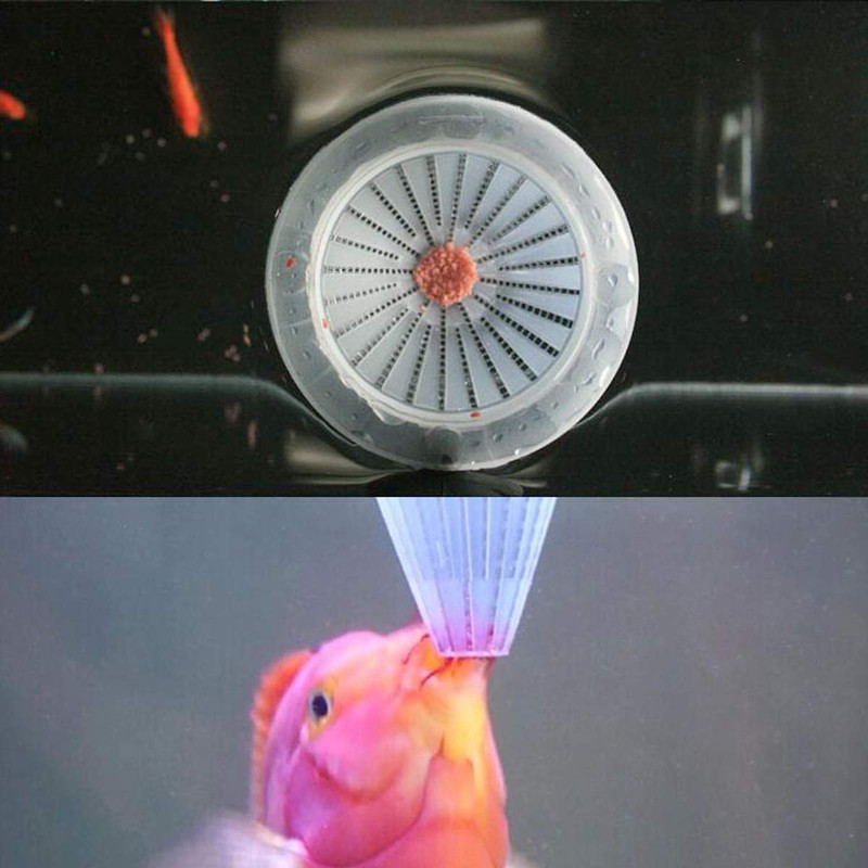 WEAVERBIRD 4PCS Aquarium Nematode Feeder, Live Blood Worm Plastic Cone