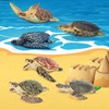 TOYMANY Set of 6 Turtle Figurines Realistic Turtle Animal Figures