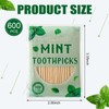 600 Pcs Mint Toothpicks Bulk Flavor Menthol Toothpicks Wood Flavored