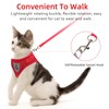 Cat & Dog Vest Harness - All Weather Mesh, Reflective